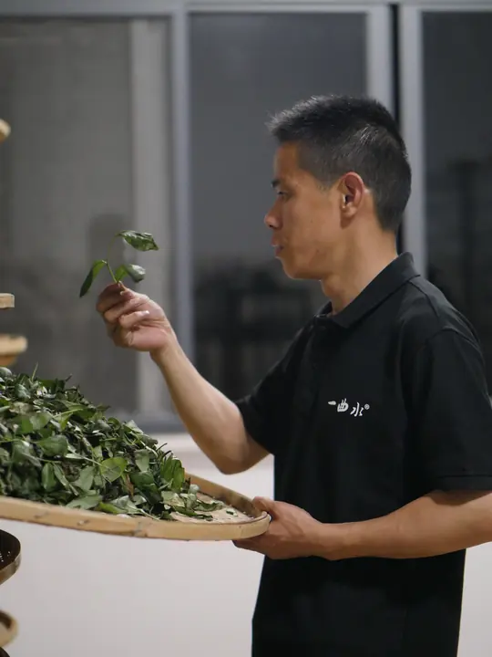 做青：摇青与静置