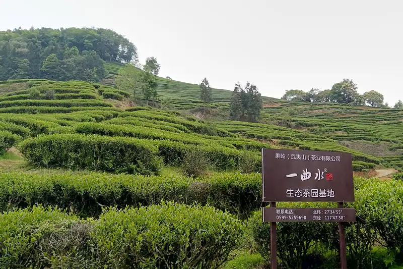 一曲水生态茶园基地标识牌
