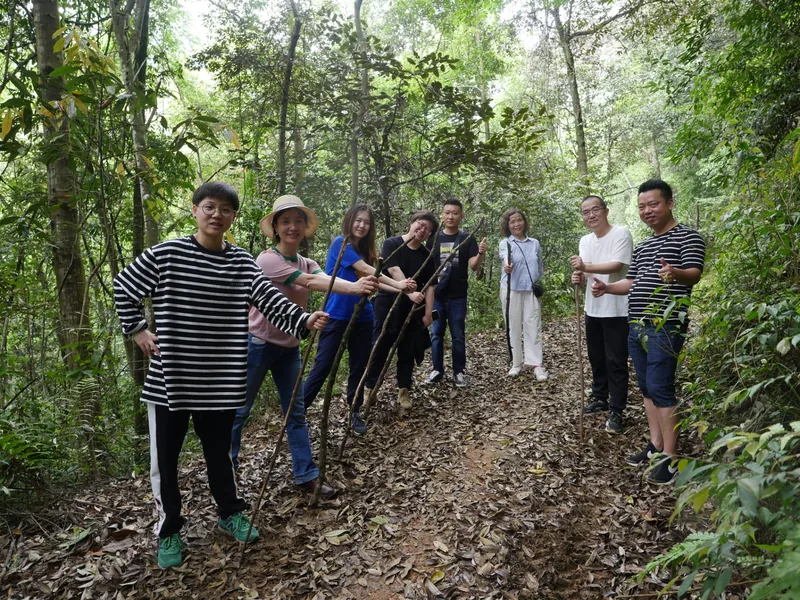 一行人沿山间小径前行