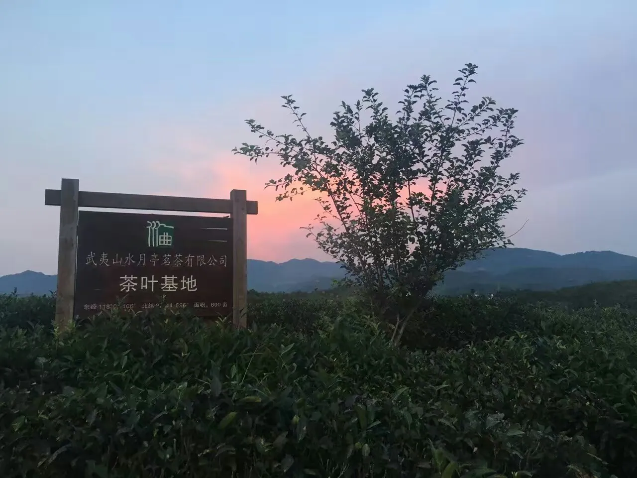 狮子峰水月亭茶叶基地招牌 · 落日